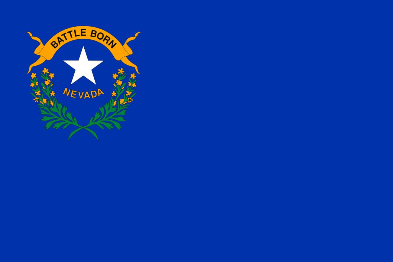 Image of the current flag of USA - Nevada