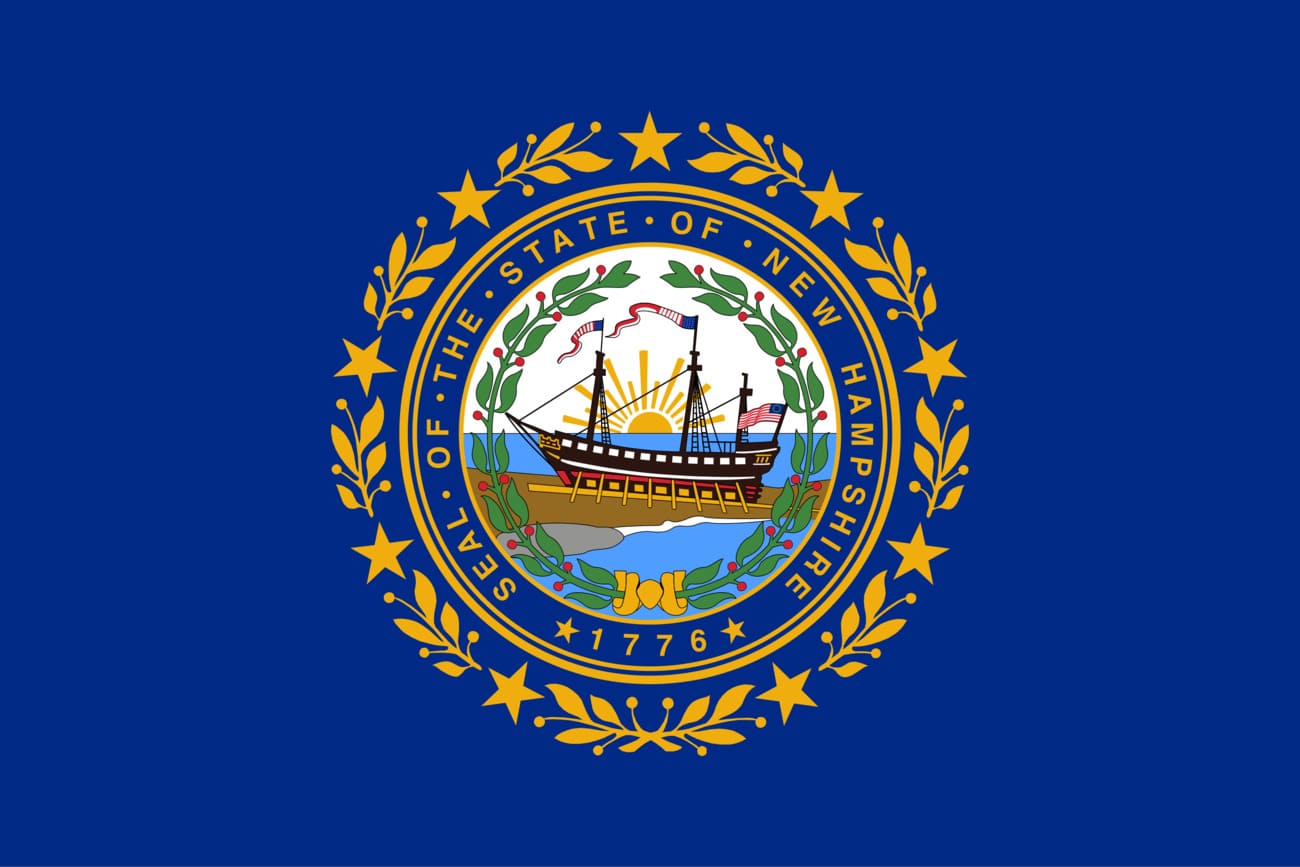 Image of the current flag of USA - New Hampshire