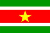 Bandera actual de Surinam