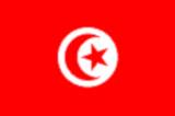 Bandera actual de Túnez