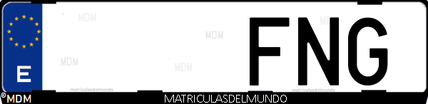 Imágen de matrícula de coche con letras FNG de España