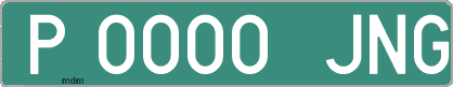 Ejemplo matrícula provisional verde de España matrícula JNG