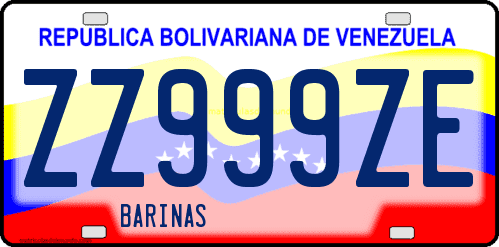 Dibujo de placa vehicular matrícula de coche de Venezuela terminado en letra E
