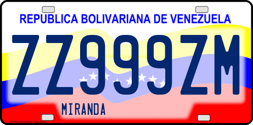 Dibujo de placa vehicular matrícula de coche de Venezuela terminado en letra M