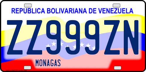 Dibujo de placa vehicular matrícula de coche de Venezuela terminado en letra N