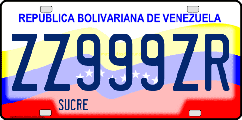 Dibujo de placa vehicular matrícula de coche de Venezuela terminado en letra R