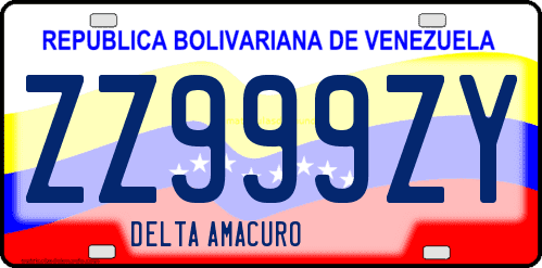 Dibujo de placa vehicular matrícula de coche de Venezuela terminado en letra Y