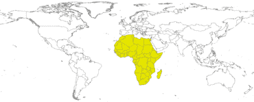 Matrículas del continente africano