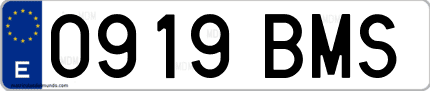 Ejemplo de matrícula de coche ordinaria 0919 BMS