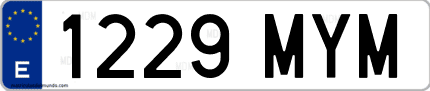 Ejemplo de matrícula de coche ordinaria 1229 MYM