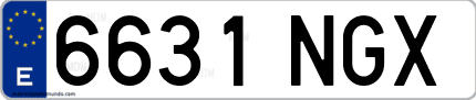 Ejemplo de matrícula de coche ordinaria 6631 NGX