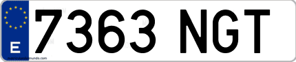 Ejemplo de matrícula de coche ordinaria 7363 NGT