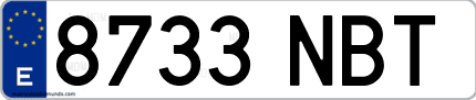 Ejemplo de matrícula de coche ordinaria 8733 NBT