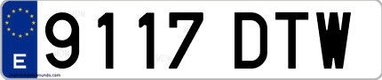 Ejemplo de matrícula de coche ordinaria 9117 DTW