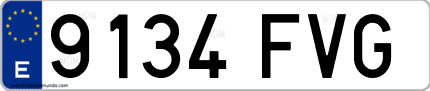 Ejemplo de matrícula de coche ordinaria 9134 FVG