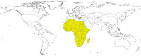 Matrícula de coche de  ÁFRICA