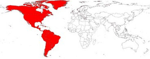 Matrícula de coche de  AMÉRICA