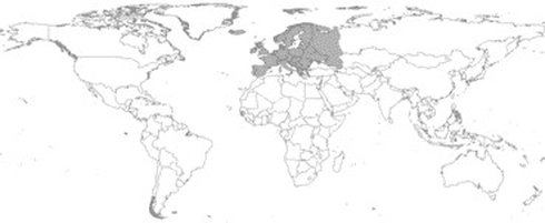 Matrícula de coche de  EUROPA