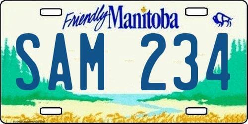 Imagen de matrícula del Manitoba con configuración SAM234 y bisonte de fondo