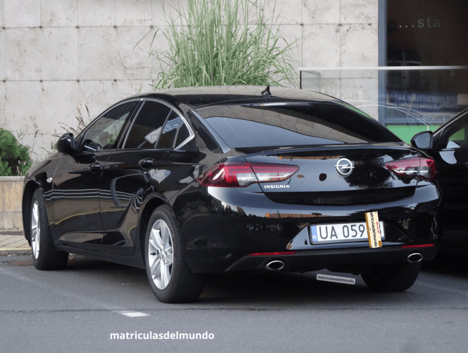 Matrícula de Opel Insignia