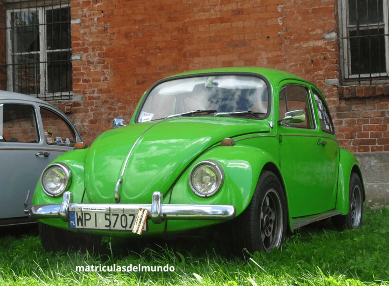 Matrícula de Volkswagen Beetle