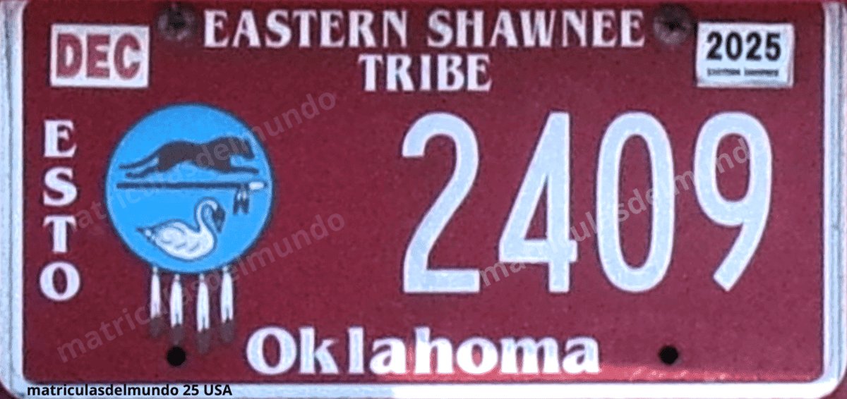 Imagen de matrícula de la Tribu Eastern Shawnee (ESTO)