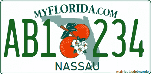 matriculas americana de coche de Florida con el nombre del condado Nassau