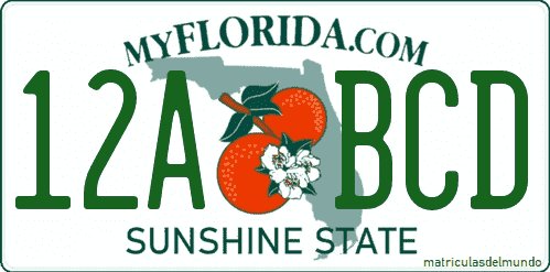 Florida American license plate with the Sunshine State slogan and oranges