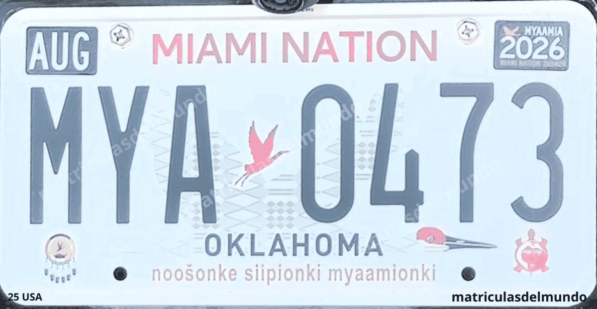 Imagen de matrícula de la Nación Miami