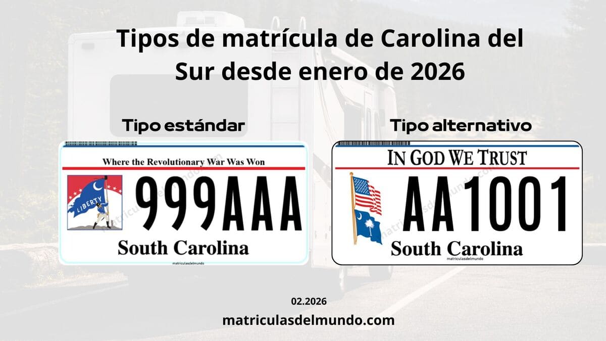 Types of current South Carolina license plates since 2026, standard and alternative models