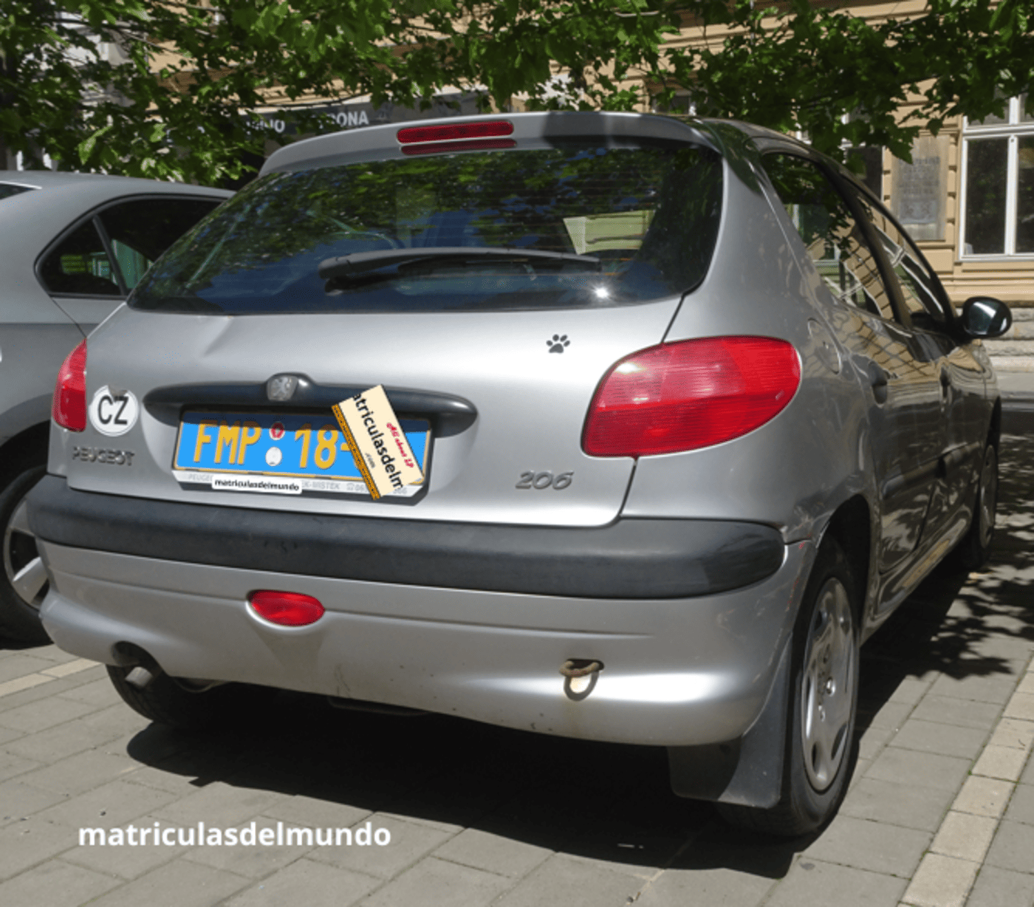 Matrícula de Peugeot 206