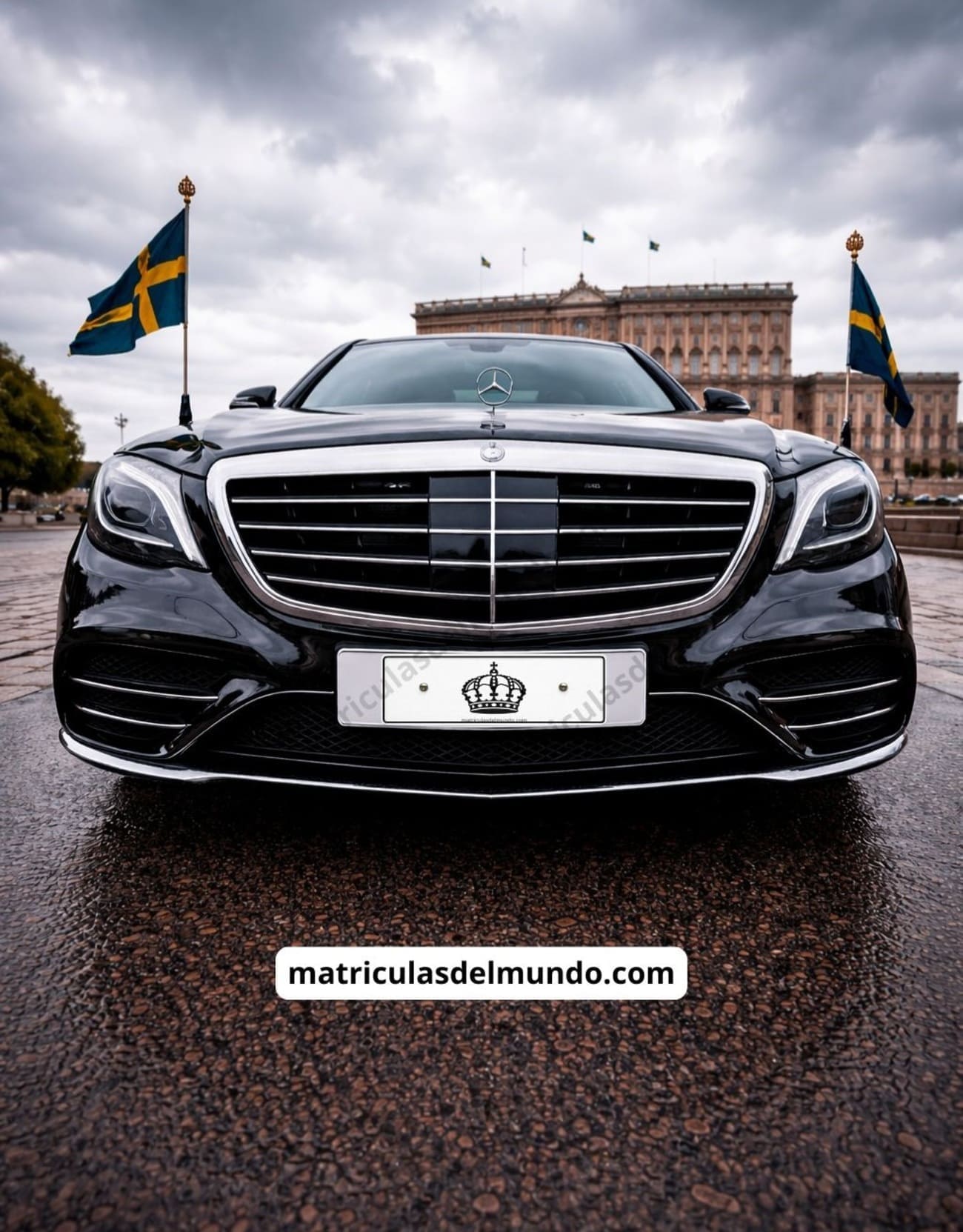 Vehículo oficial sueco con placa de la Casa Real y corona