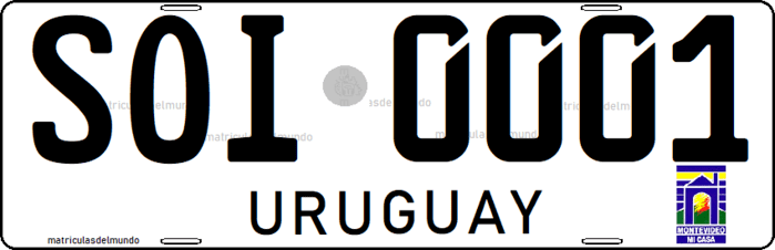 Matrícula especial de Uruguay antigua organismo internacional