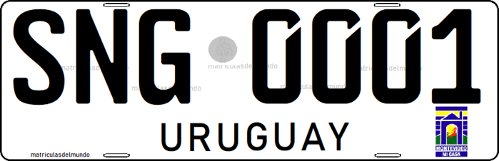 Matrícula especial de Uruguay antigua organismo no gubernamental