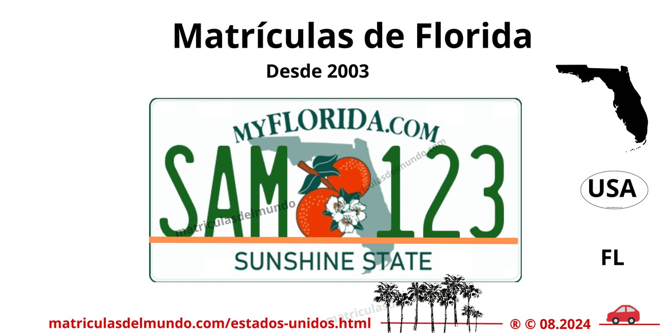 Matrícula de coche de Florida
